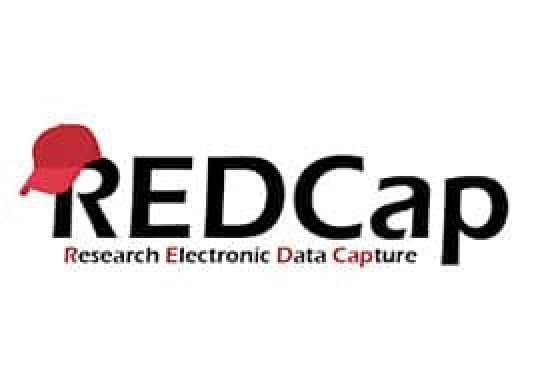 Research Electronic Data Capture (REDCap)